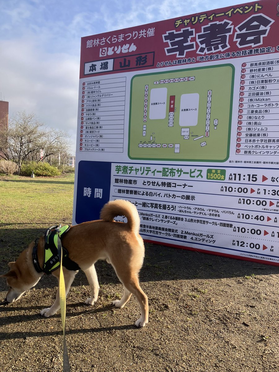 瞬とぴいぷる (瞬ぴぃ) tweet media