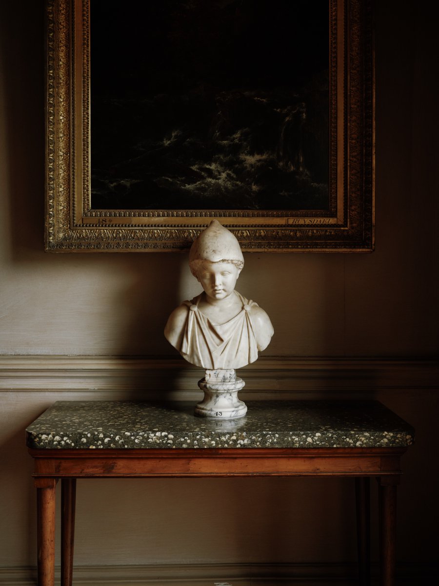 Dimitri Novikov 🇺🇦 tweet media