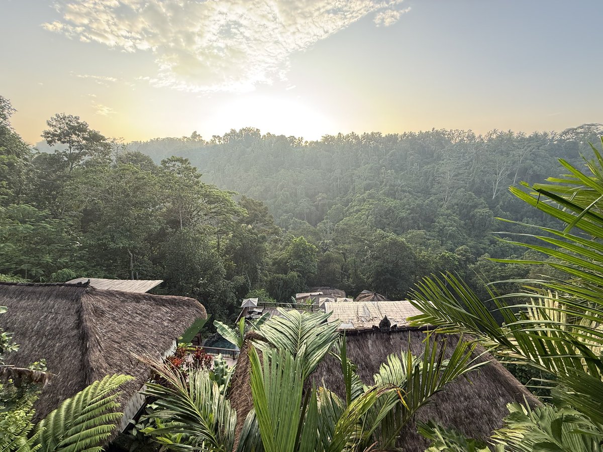 榎本晋作/未来学でイギリス大学院奮闘中🌏 tweet media