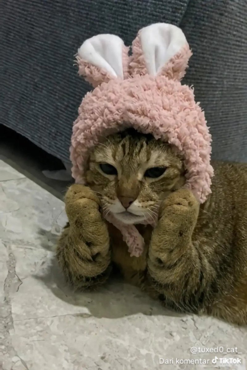 MieGorengKuah tweet media