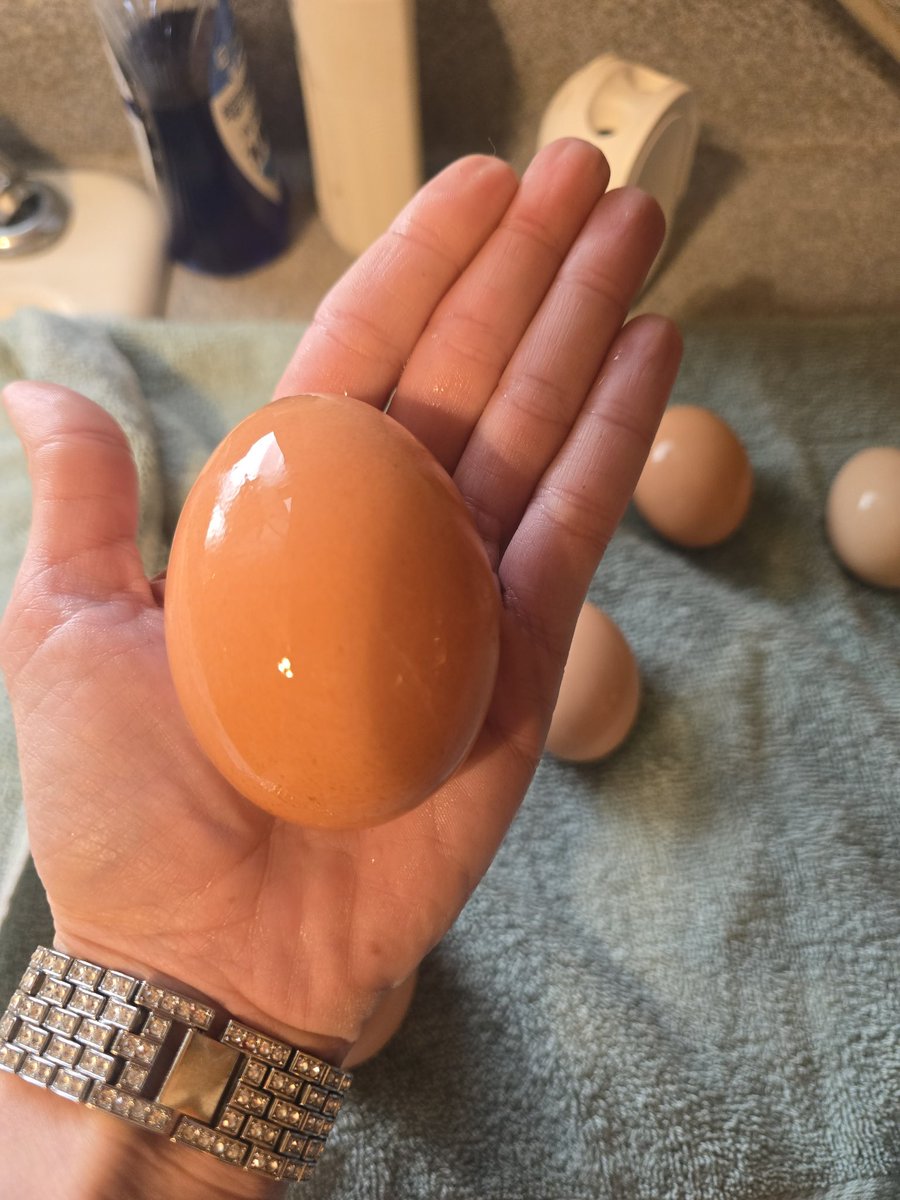 Stephen the Martyr tweet media