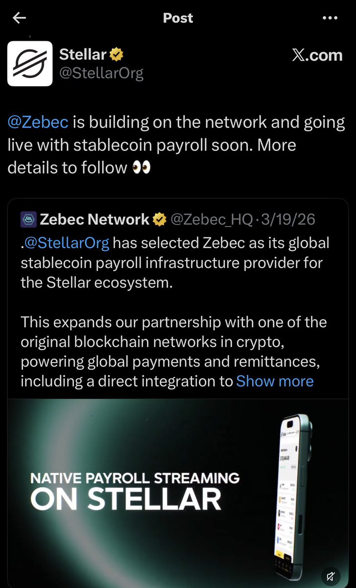 ZBCN-MAN™ tweet media