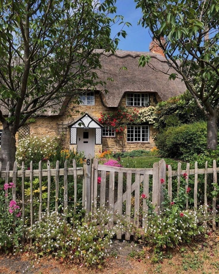 𝒆𝒍𝒚𝒓𝒂 tweet media