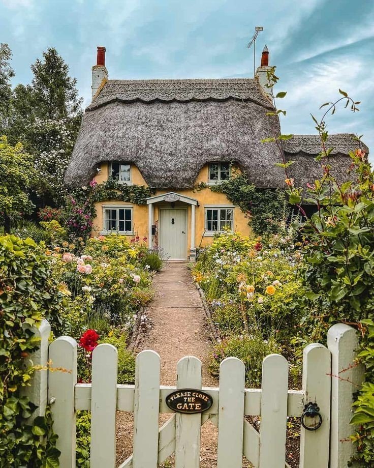 𝒆𝒍𝒚𝒓𝒂 tweet media