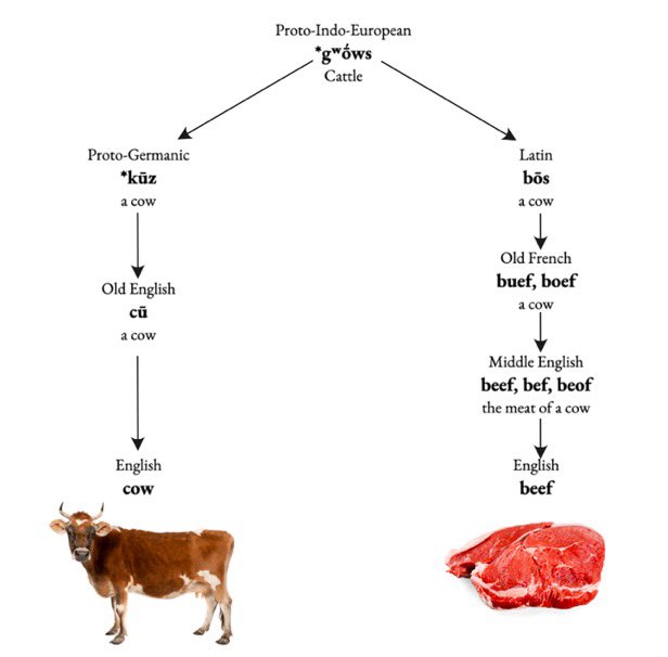 weird medieval guys tweet media