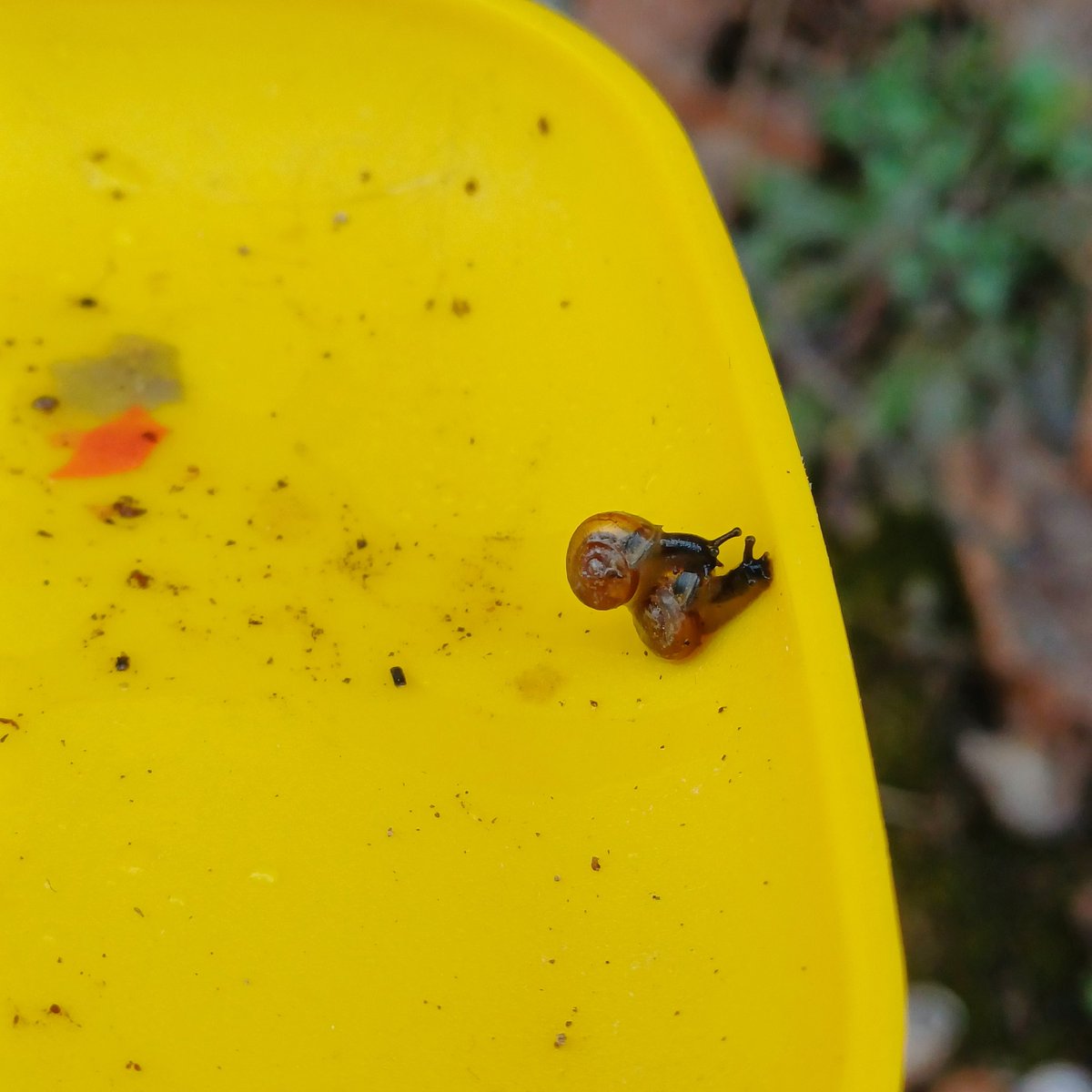 (っ´ཀ`)っ tweet media