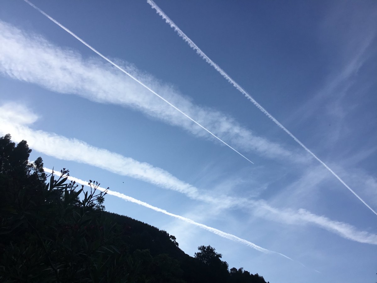 Useless Eater in the Northeast Mega Region tweet media