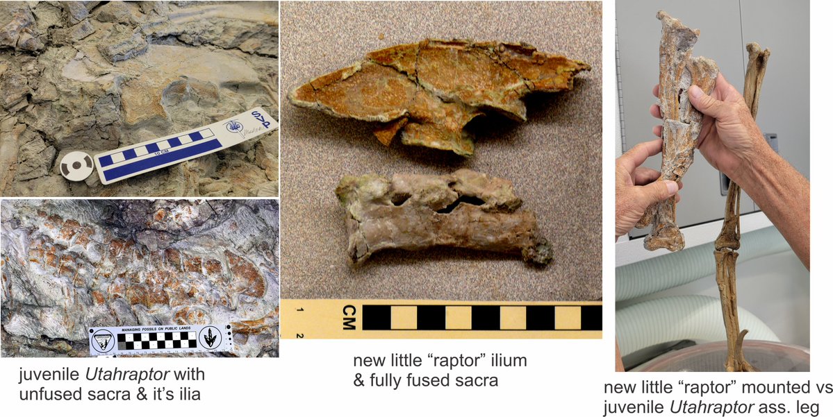 Jim Kirkland tweet media