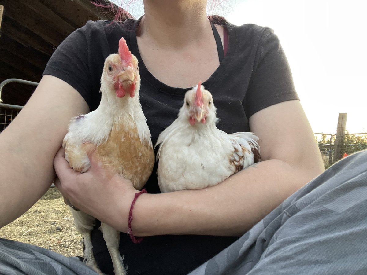 Buffy the misogynist slayer (cervix haver) tweet media