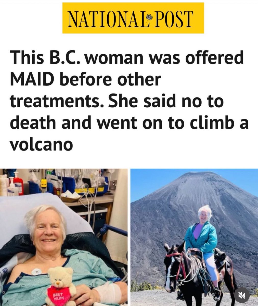 Michelle Leahy Ferreri tweet media