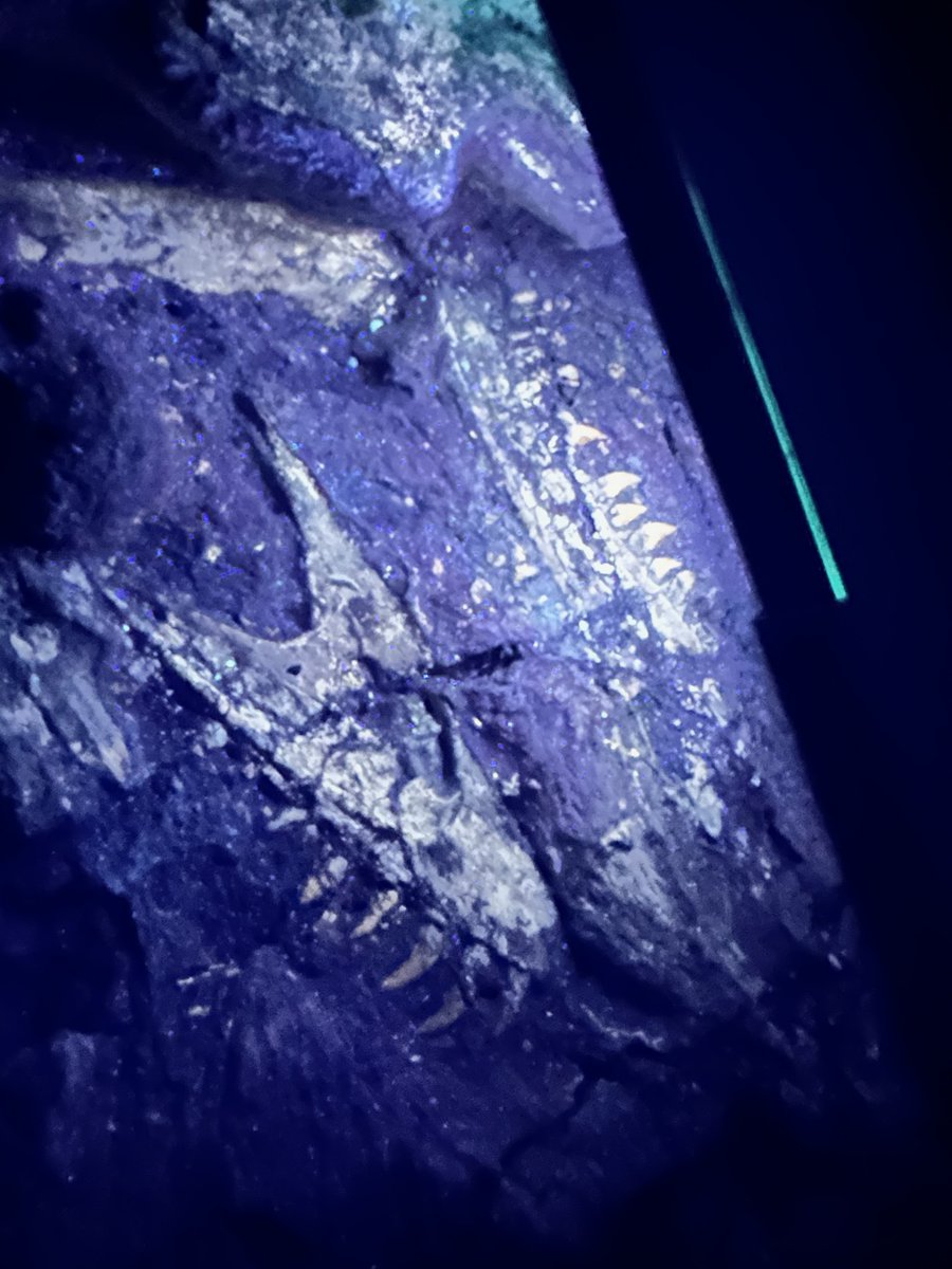 Jim Kirkland tweet media