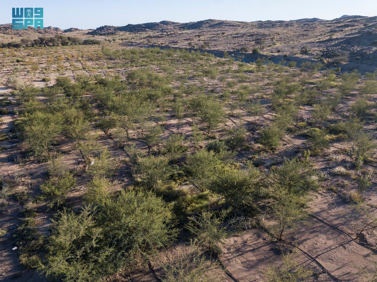 واس العام tweet media