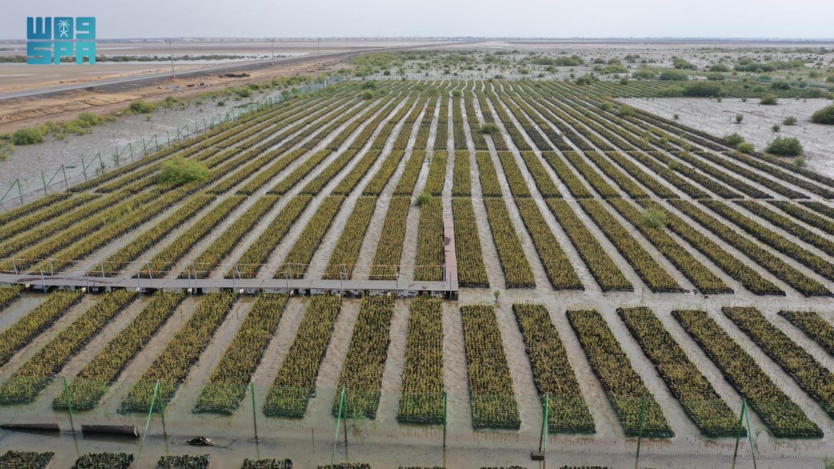 واس العام tweet media