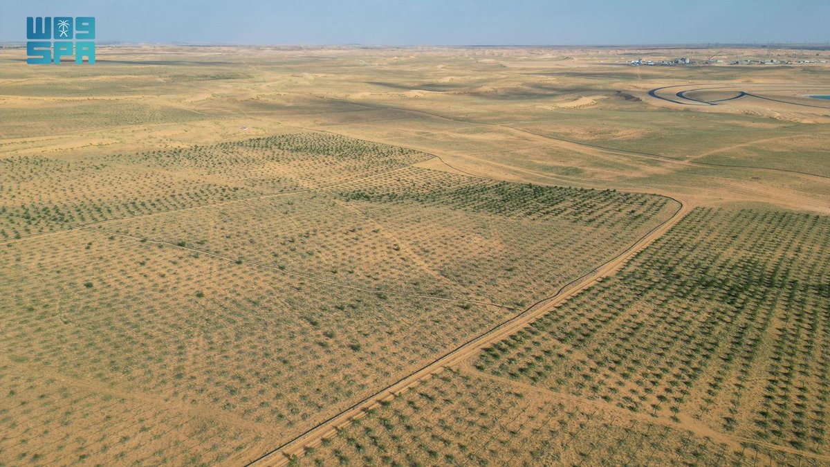 واس العام tweet media