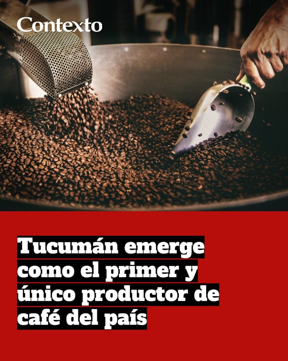 Contexto Tucumán tweet media