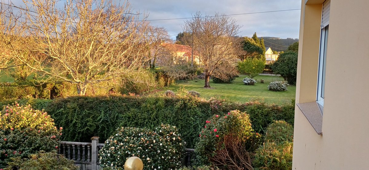 Fuensanta Pumar Gómez tweet media