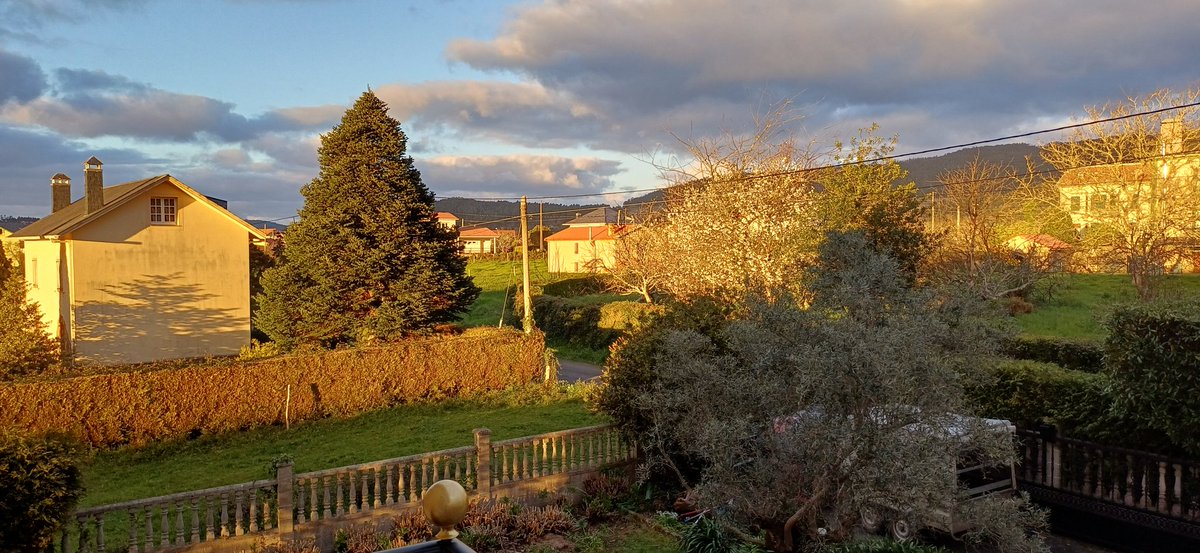 Fuensanta Pumar Gómez tweet media