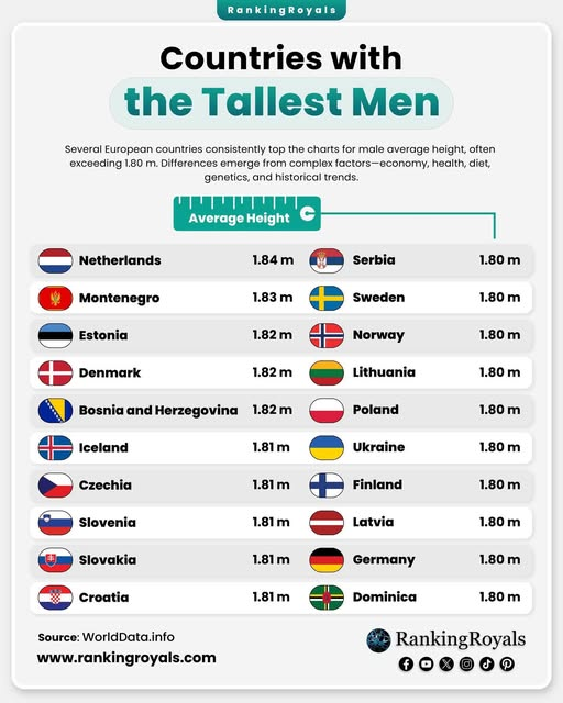 K7 - A Curious MiND tweet media
