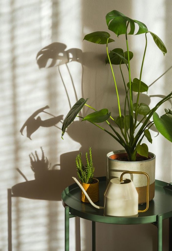 G r e e n 🌱 tweet media