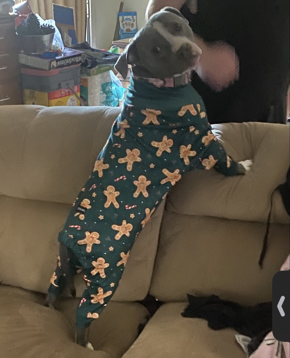 Super G🎃thGfGirlGamer tweet media