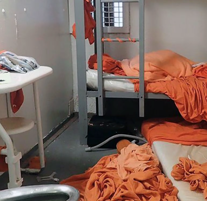 julie k. brown tweet media