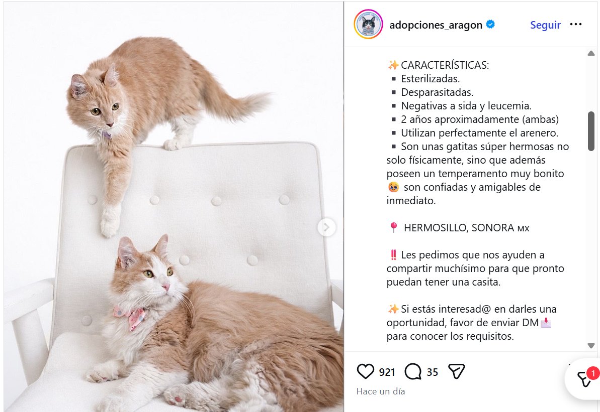 Susana S tweet media