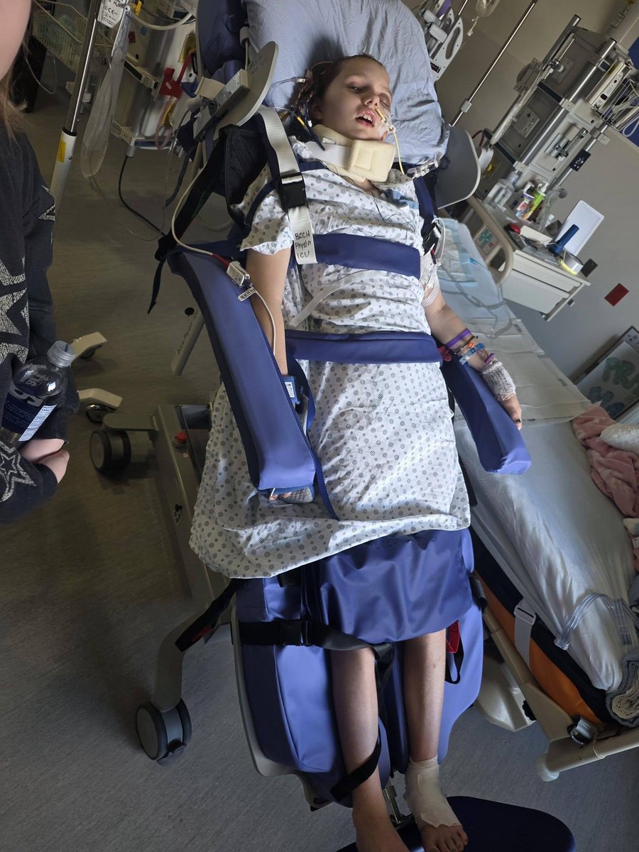 Pierre Poilievre tweet media