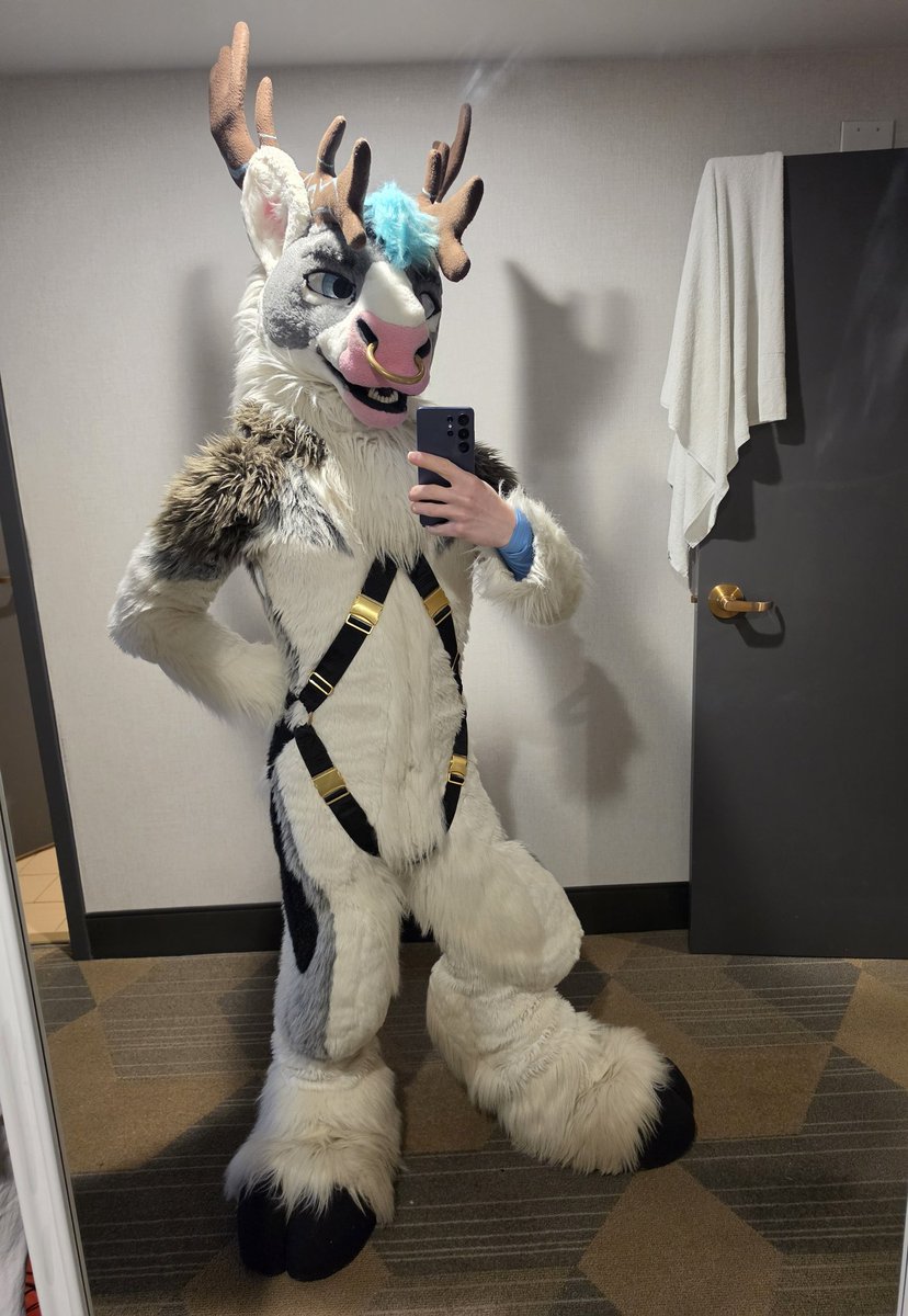 Røͩʀͤᴇͤᴋͬ 🔜 TFF tweet media