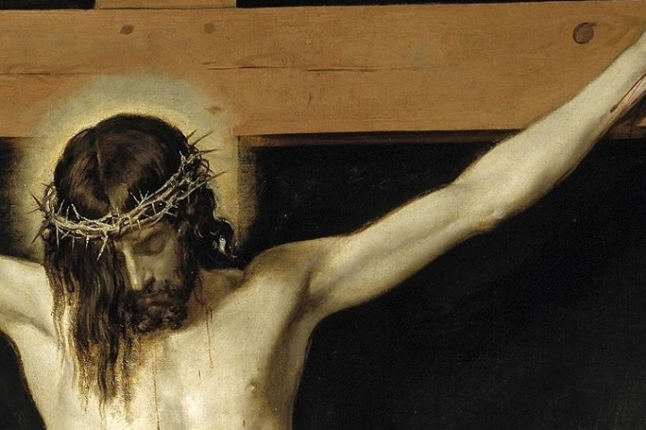 Learn Latin tweet media