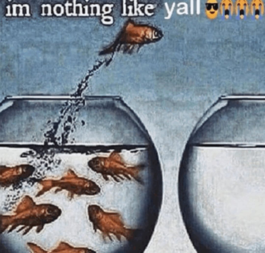 ୧ ‧₊˚ ᵍˡᵒᵒᵐʸ ⋅ ☆ tweet media