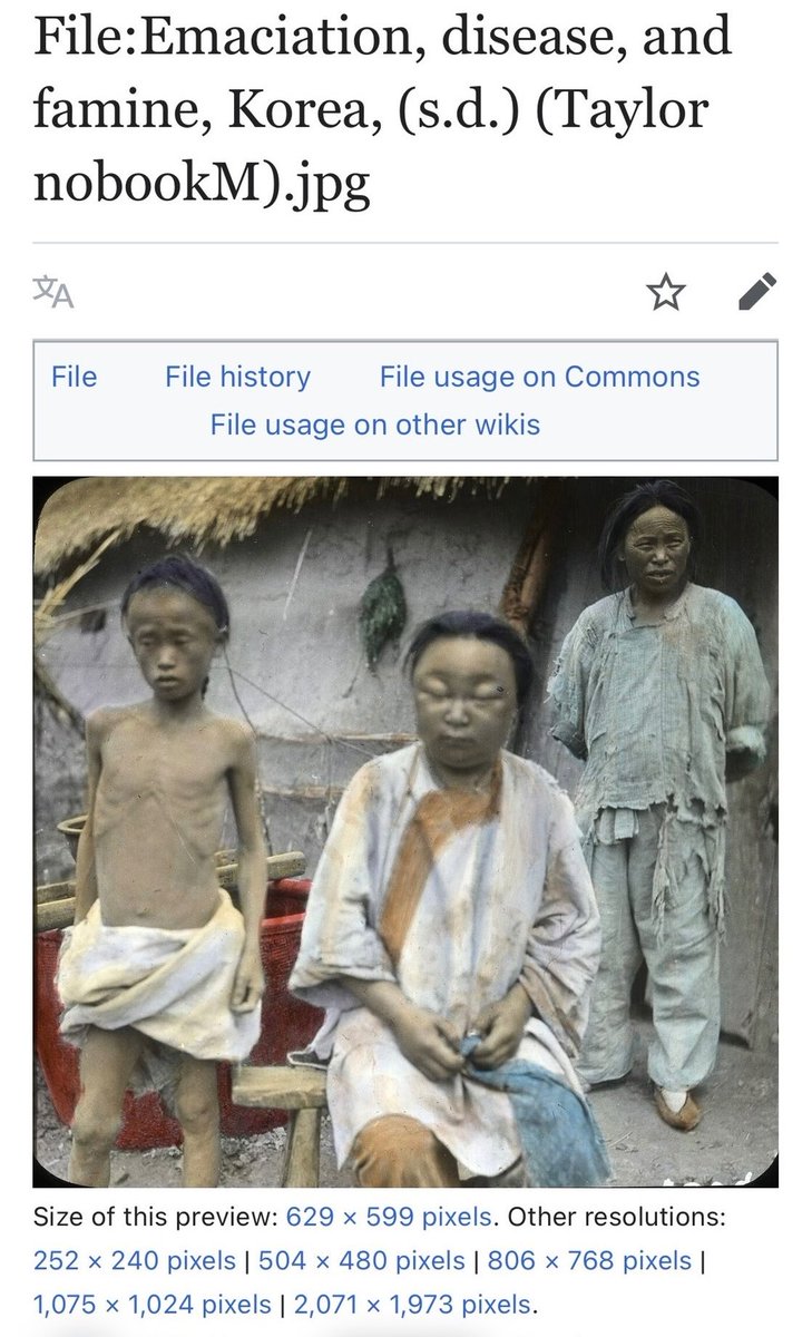 听取哇声一片 tweet media