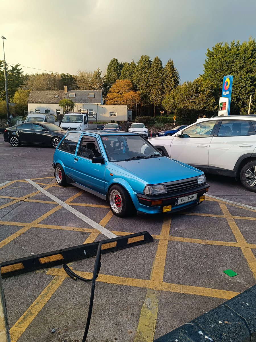 gumpy77's tweet image. 😍♥️ #starlet