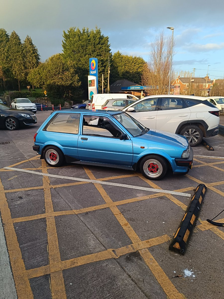 gumpy77's tweet image. 😍♥️ #starlet