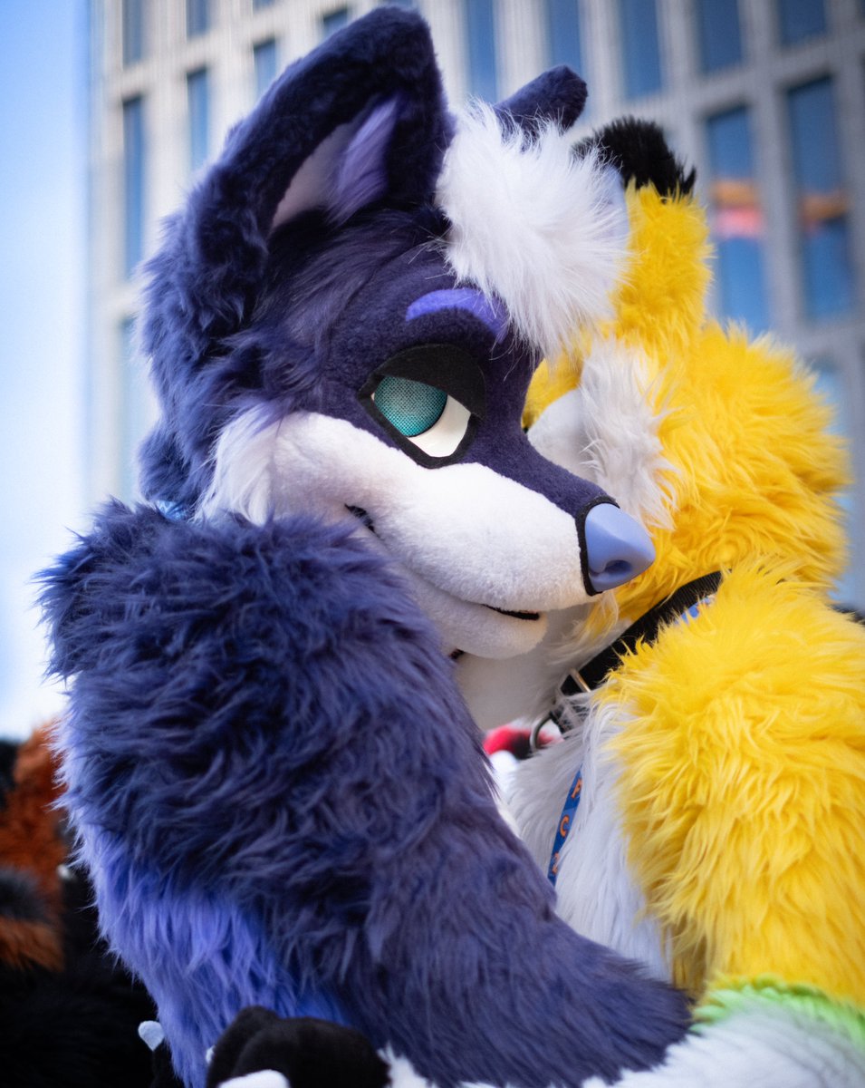 ✨ dexterity ✨ tweet media