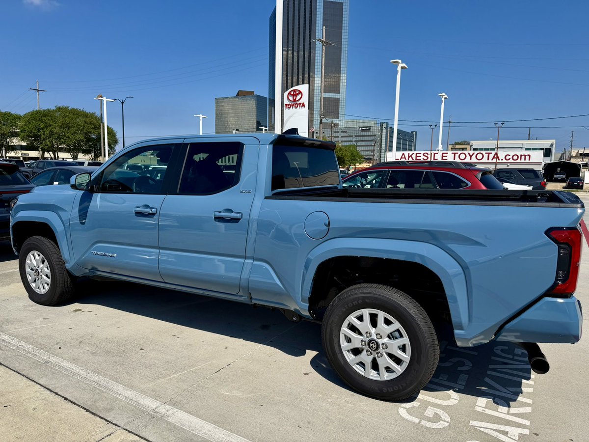 options gypsy tweet media