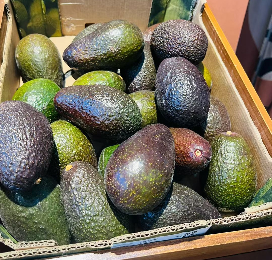 Joan Polidoro tweet media