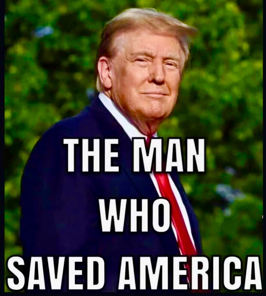 Donna OMeara tweet media