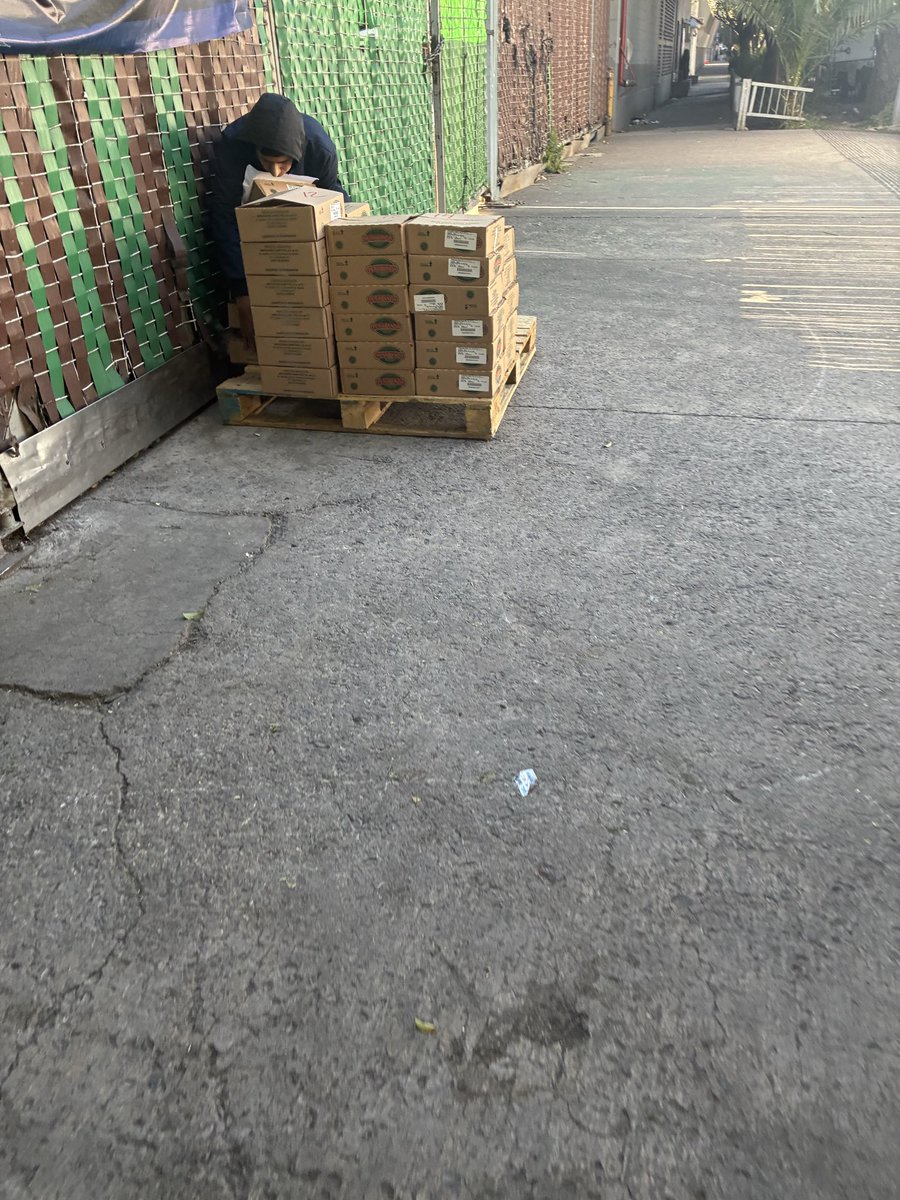 Alejandro tweet media