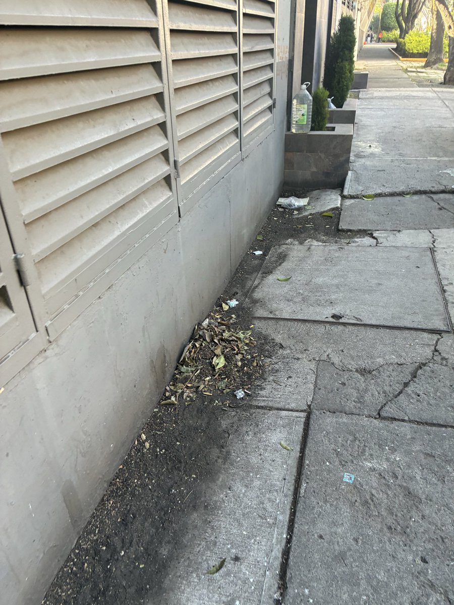 Alejandro tweet media