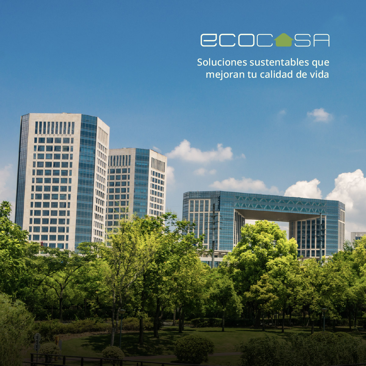 Sociedad Hipotecaria Federal tweet media