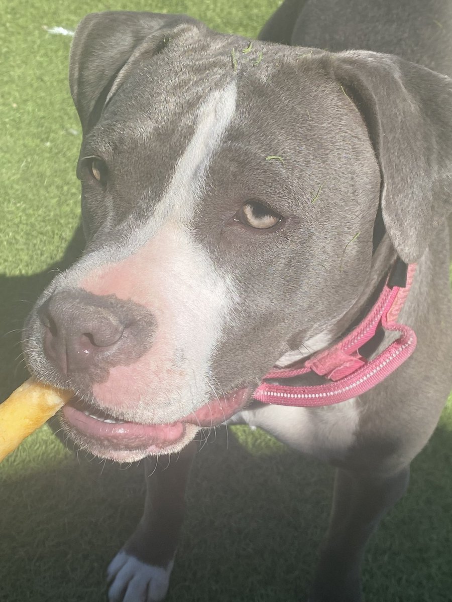 Super G🎃thGfGirlGamer tweet media