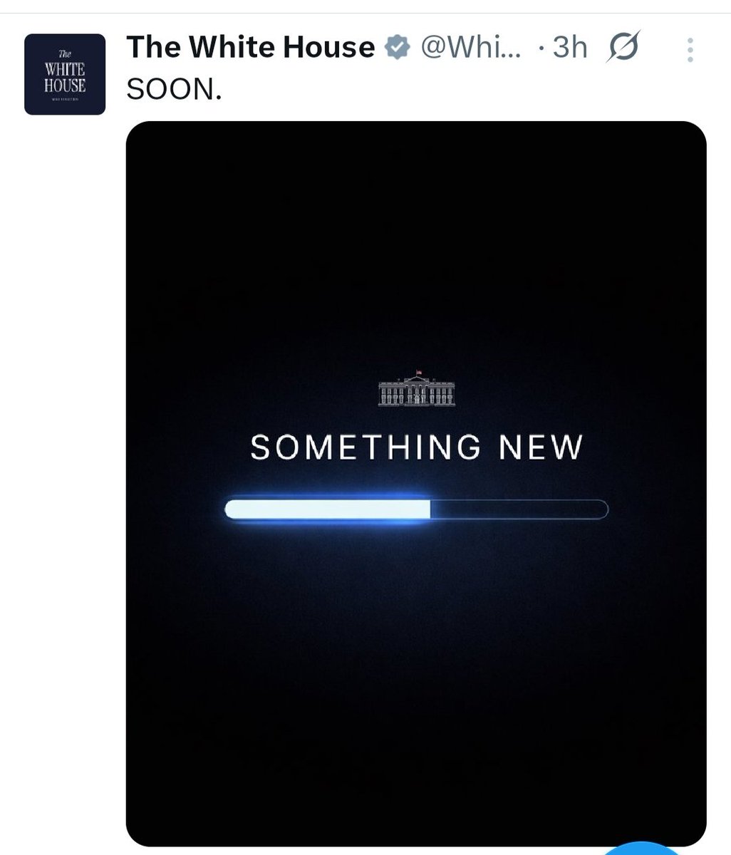 Ali AwDoll tweet media