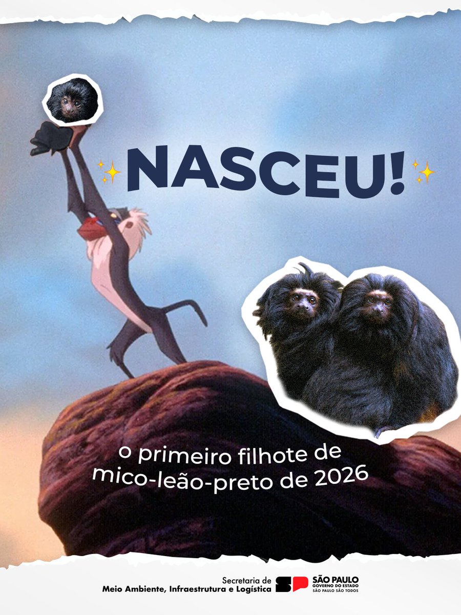 Meio Ambiente Infraestrutura e Logística de SP tweet media