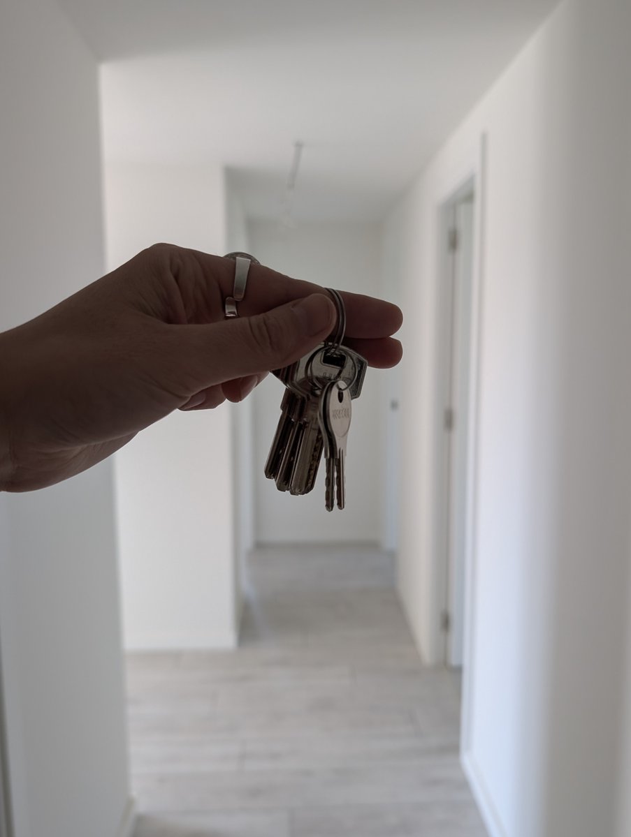 cat in space tweet media