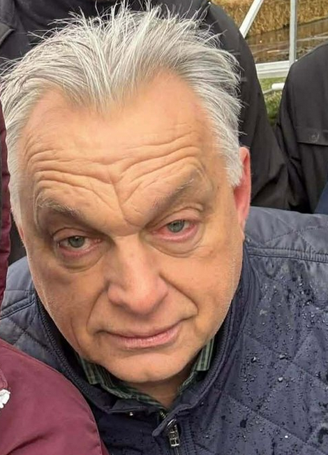 Orban Vektor aka @darth_orban_ tweet media