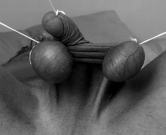 Master Red tweet media