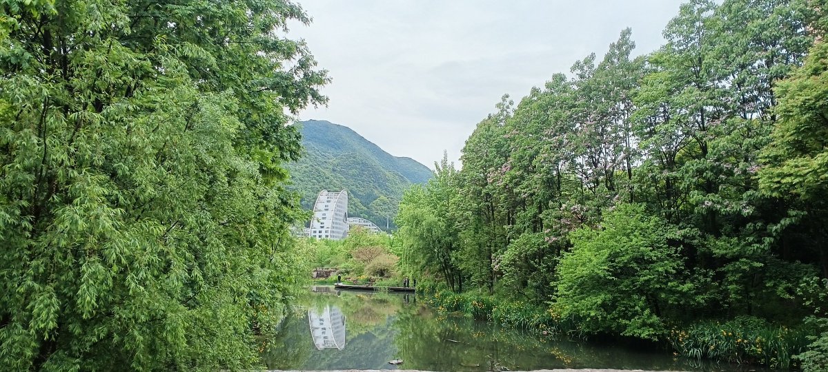 ashlee nicole baber tweet media