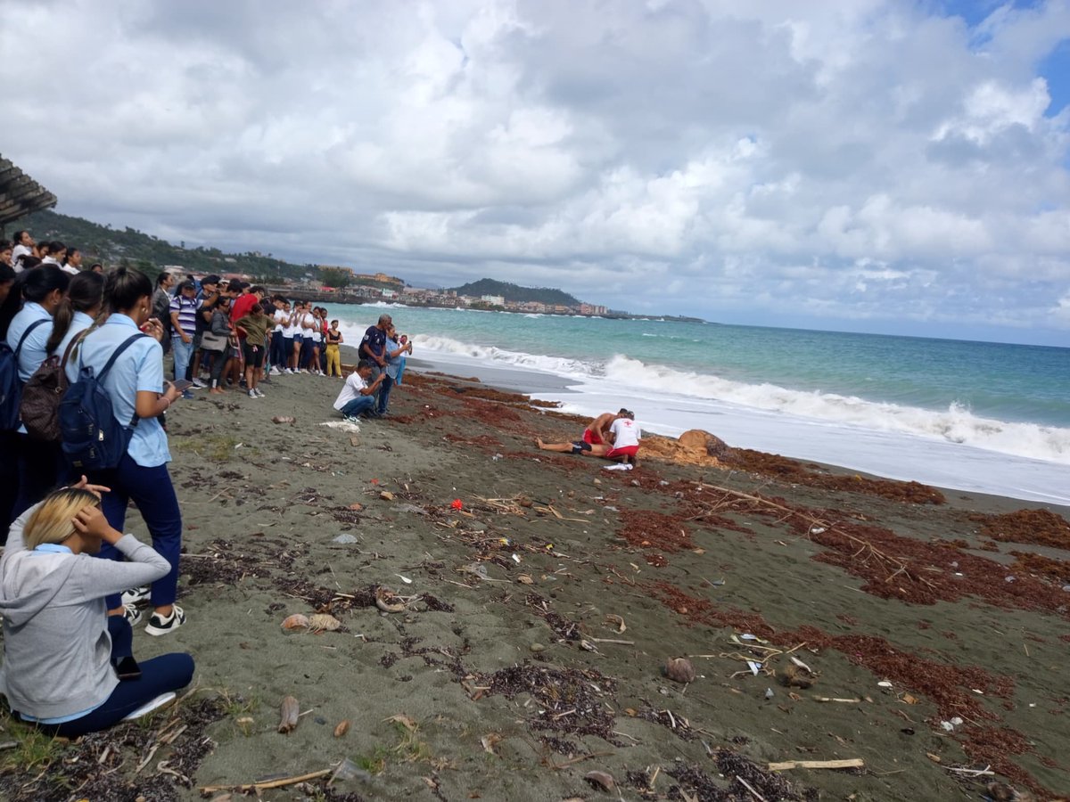 Silvio Eneider Cuevas de la Cruz tweet media