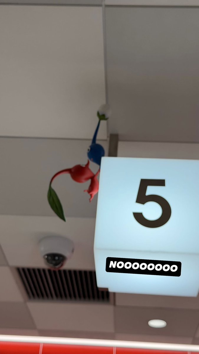 M i s s a u r i o s 🌽 tweet media