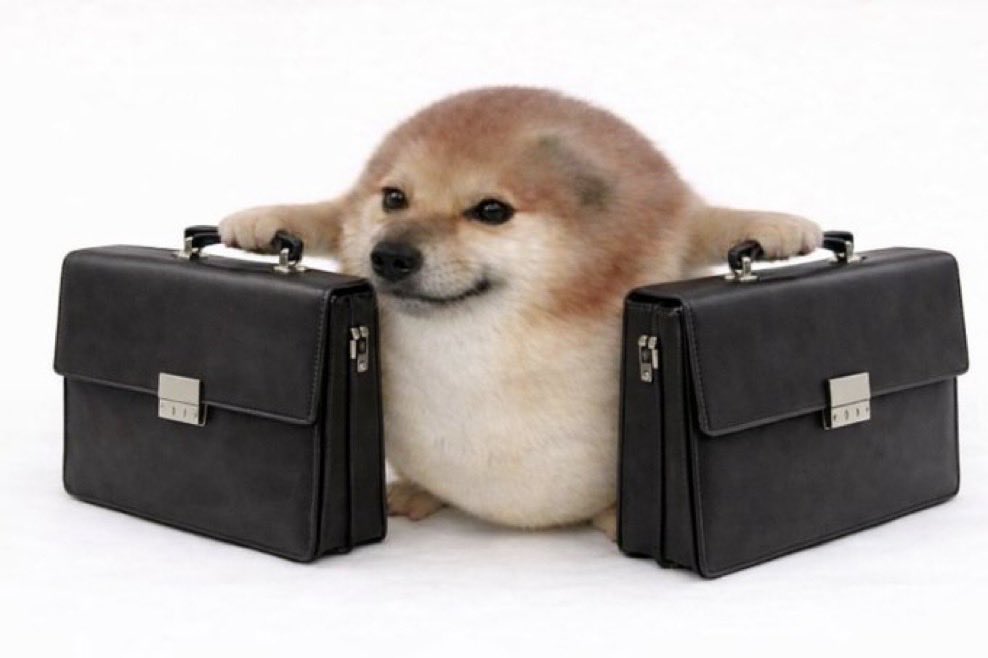 Vansos_Bullva_* tweet media